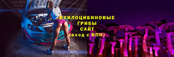 PSILOCYBIN Алексеевка
