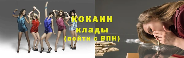 спиды Алзамай