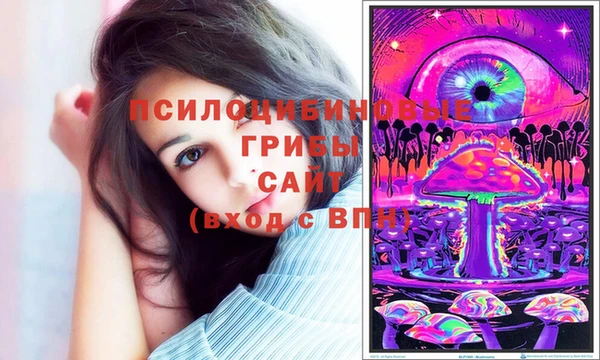 спиды Алзамай
