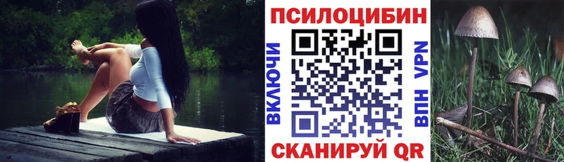 mega зеркало  где найти наркотики  Белгород  мориарти Telegram  Галлюциногенные грибы MAGIC MUSHROOMS 